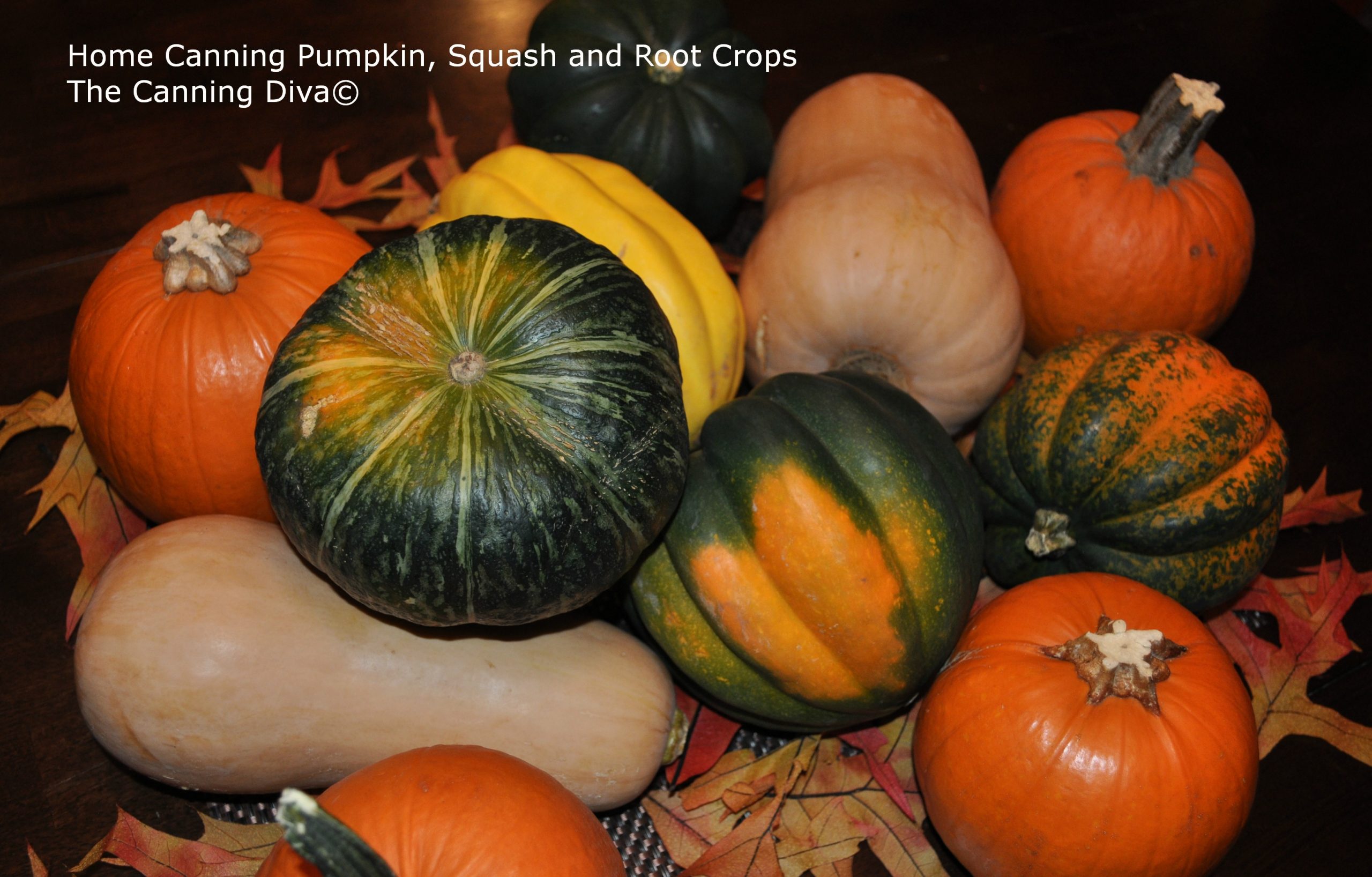 Home Canning Pumpkin Squash and Root Crops