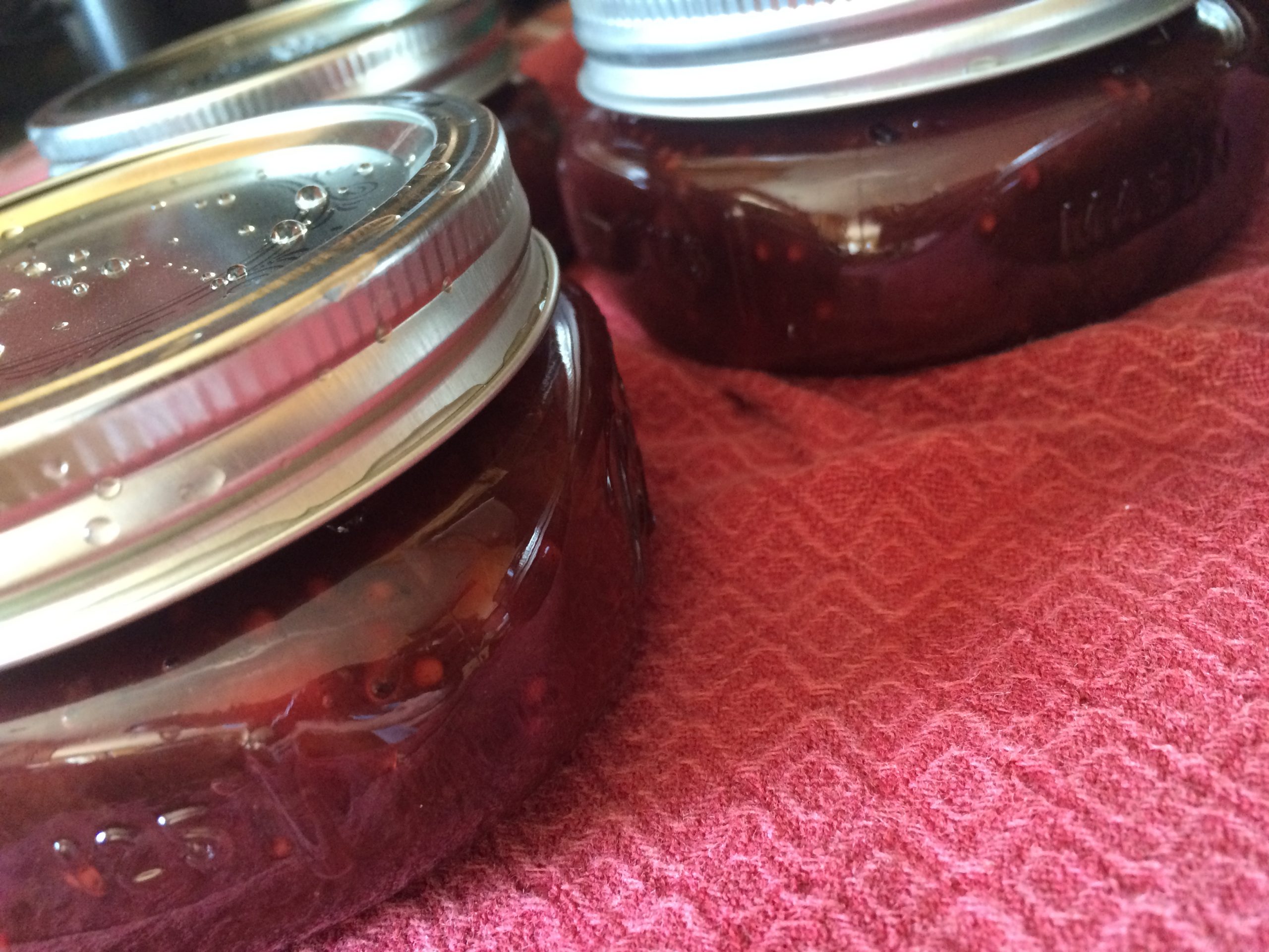 Savory Cherry Chutney fresh out of the water bath - The Canning Diva