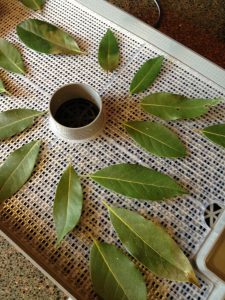 bay leaves on mesh tray