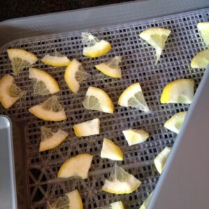 dehydrated lemon wedges