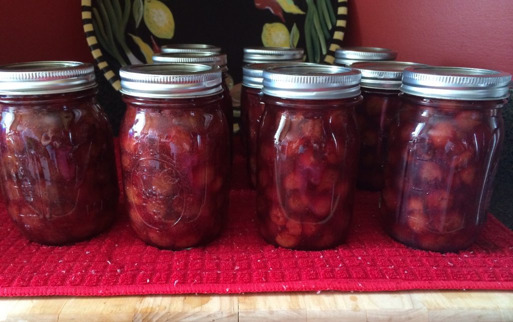 The 5 Best Tips if Canning with a Nesco 9 Quart Smart