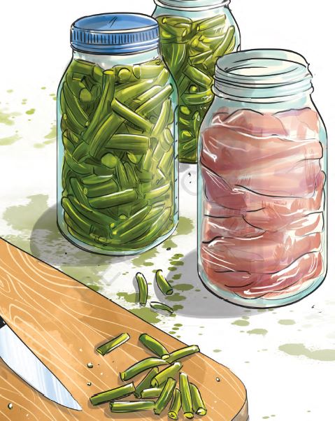 https://canningdiva.com/wp-content/uploads/2021/05/Home-Canned-Green-Beans-Jar-and-Canned-Meat-Jar-Illustration.jpg