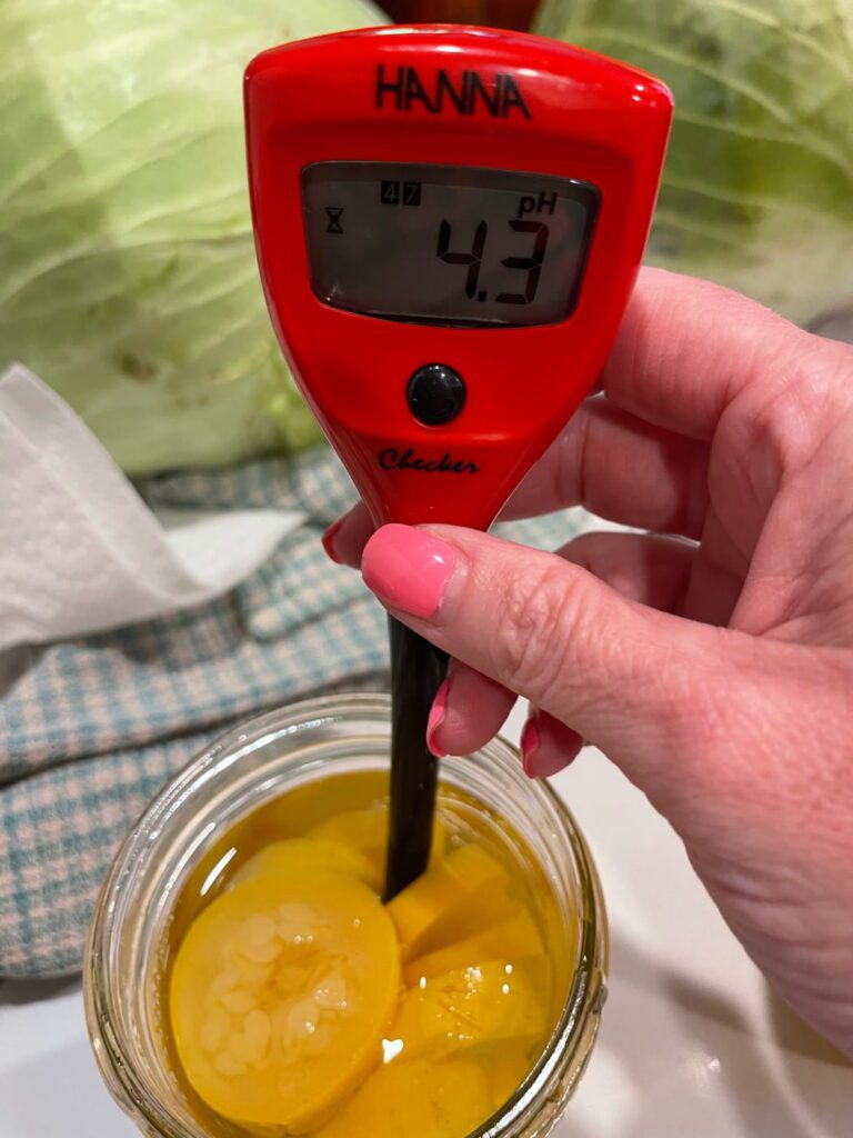 testing the ph of summer squash in brine for water bathing
