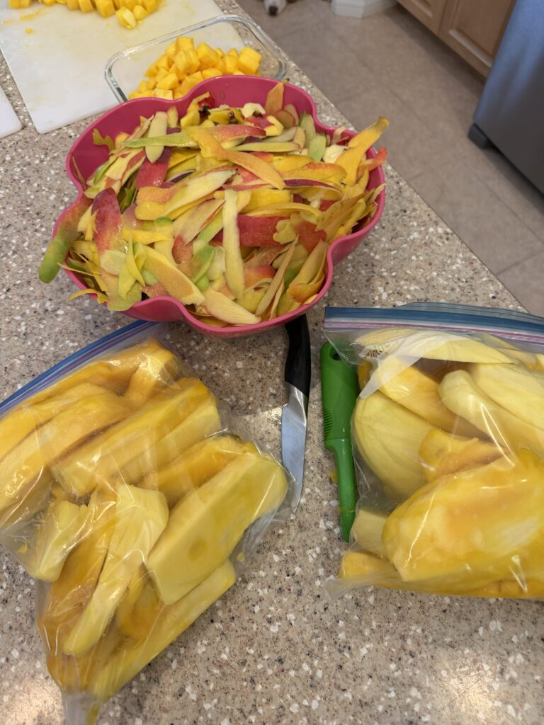 peeling mangoes and save seeds for jelly