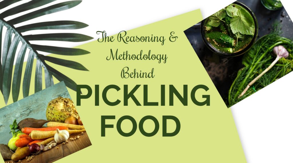 Module 2 Reasoning and Methodology behind pickling food PDF image thumbnail