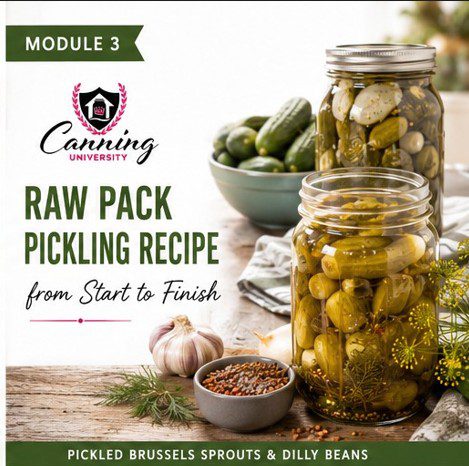 Module 3 Art of Pickling Raw Packing