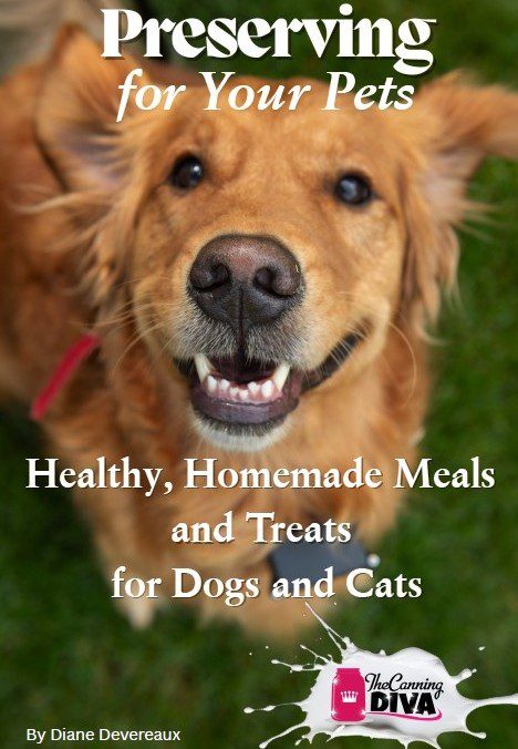 Preserving For Your Pets