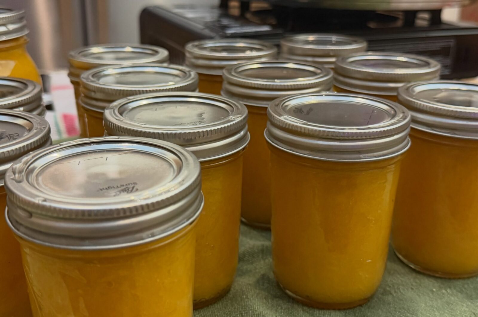 Mango Jam Canning Recipe