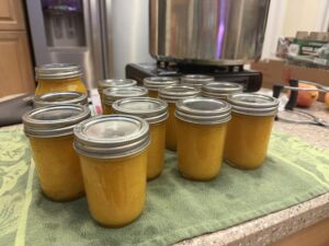 Mango jam out of the canner after processing wide